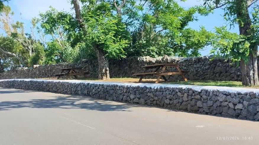 Requalifica&ccedil;&atilde;o da Zona Verde da Canada da Ribeirinha conclu&iacute;da