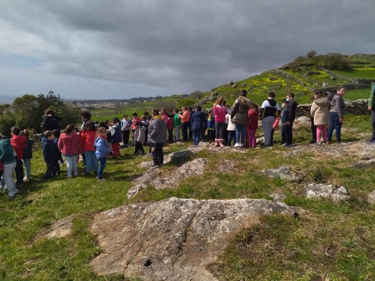 Ribeirinha assinalou o Dia da &Aacute;rvore com planta&ccedil;&atilde;o de &aacute;rvores na Ladeira Grande
