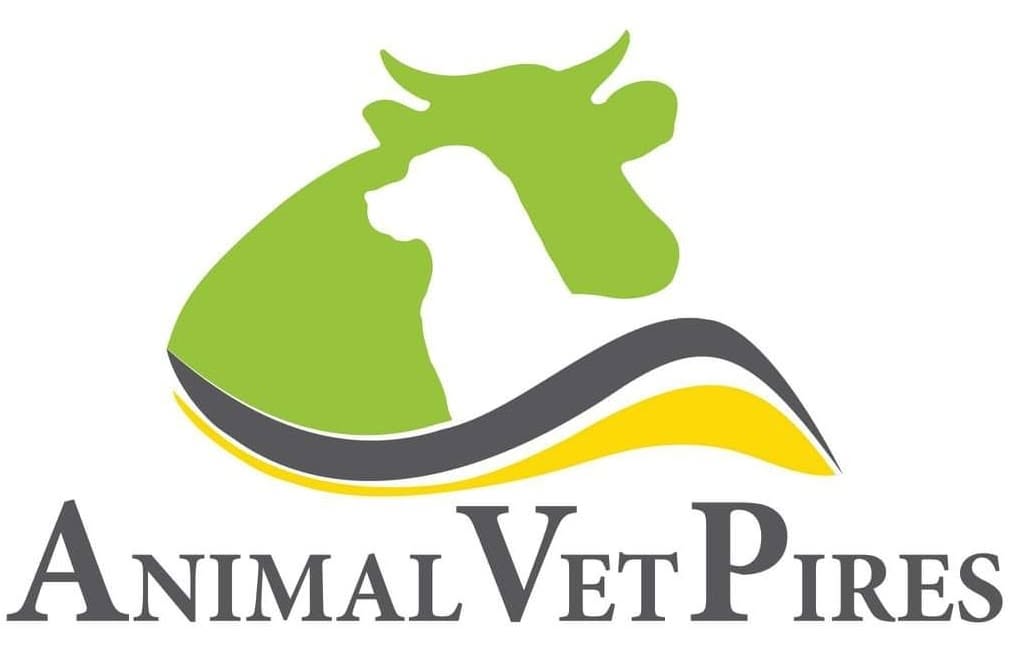 Animal Vet Pires 